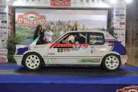 37 Rally di Pico 2015 - IMG_2898