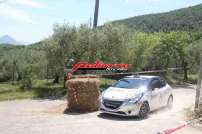 37 Rally di Pico 2015 - IMG_3310